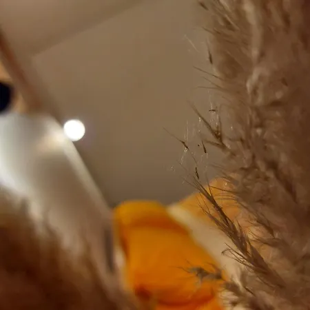 Mousehouse 1 Apartment